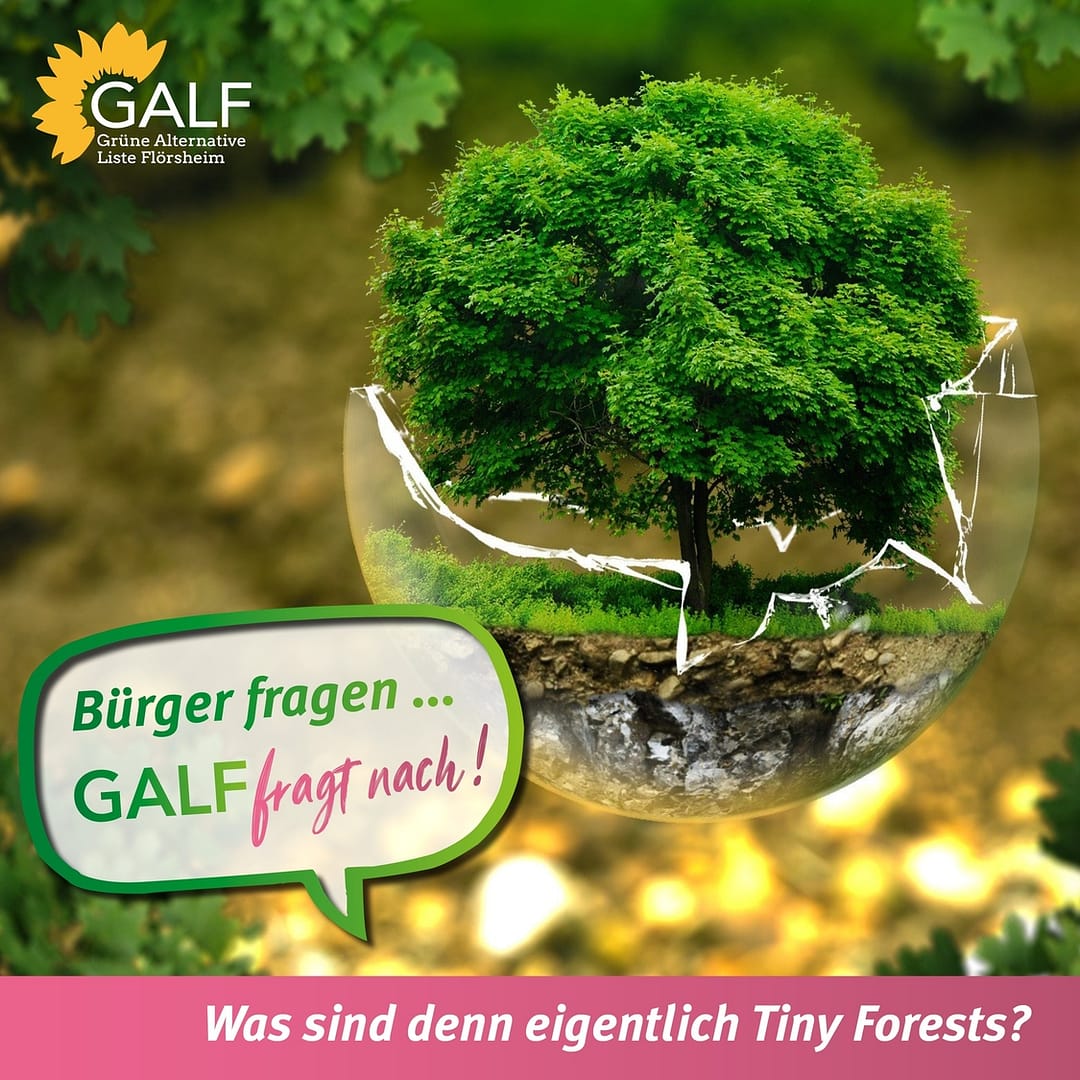 Flörsheim: Was ist ein „TINY FOREST“?  – „Bürger fragen – GALF fragt nach“ startet